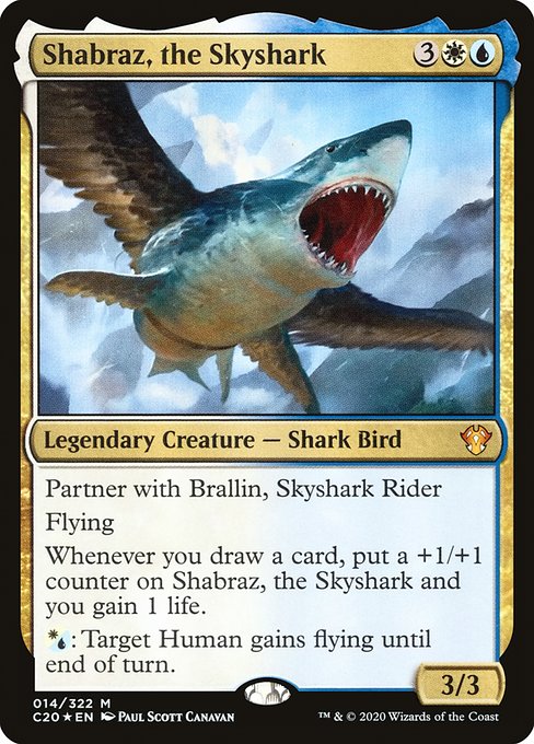 Shabraz, the Skyshark C20 14